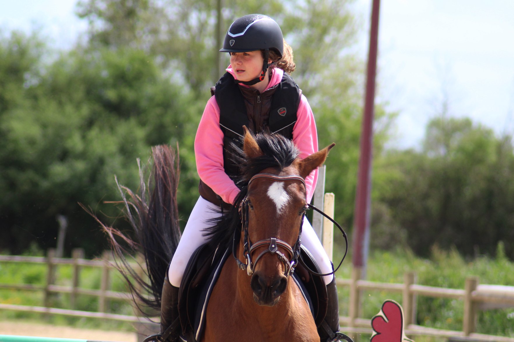 Cours d'équitation pour enfants, adolescents et adultes